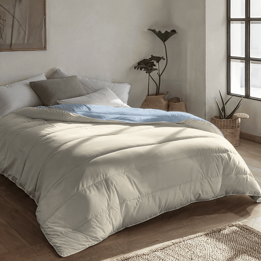 Zelesta Royalbed - Blaunebel & Sandstrand