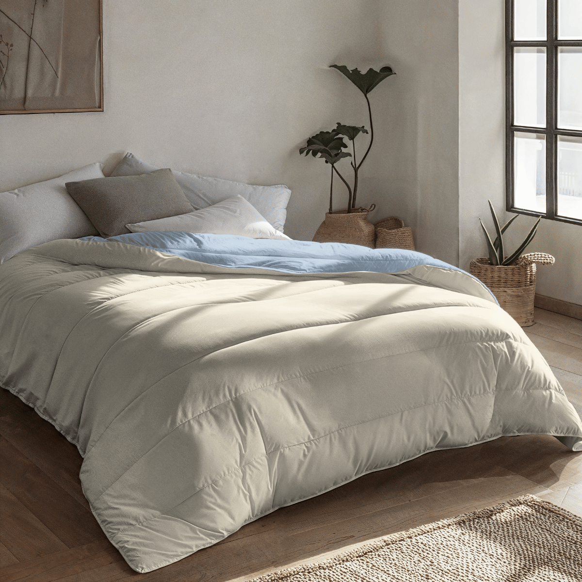 Zelesta Royalbed - Blaunebel & Sandstrand