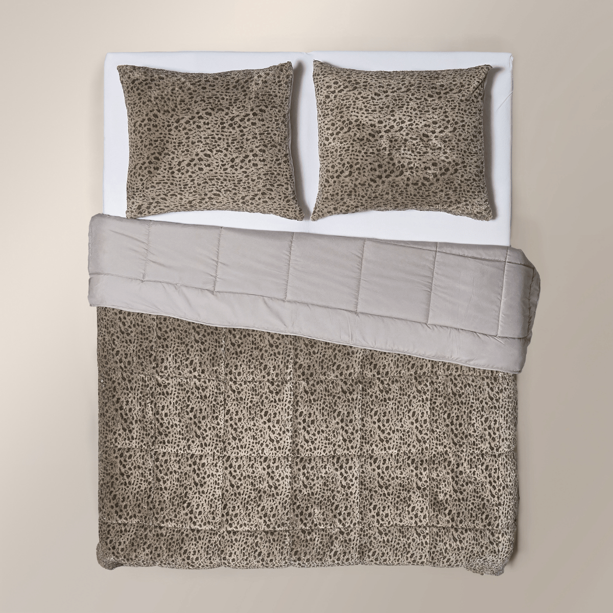 Zelesta Special Teddy Panther Bettdecke – Taupe