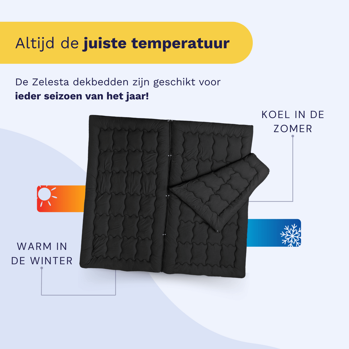 Zelesta Flexibed - Schwarz