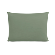 Zelesta Pure Uni Seamless Cotton Pillowcase Set Of 2 - Loden Green