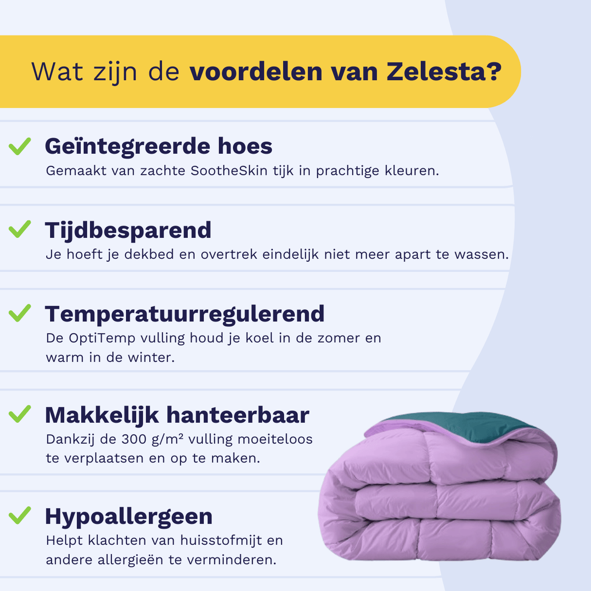 Zelesta Royalbed – Petrol und Lila