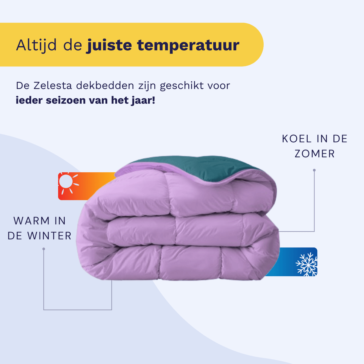 Zelesta Royalbed – Petrol und Lila