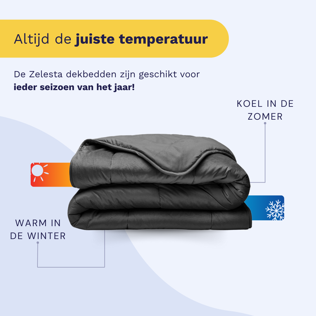 Zelesta Special Velvet Duvet - Anthracite