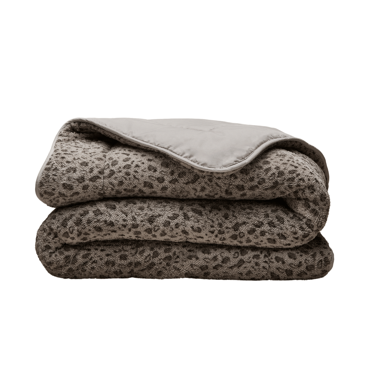 Zelesta Special Teddy Panther Bettdecke – Taupe